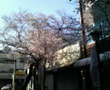 桜通3