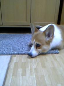 20060712
