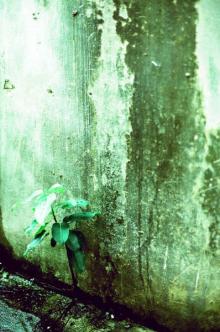 ACIDMAN 『I stand free』 photo session