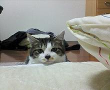 じー