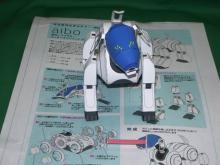 aibo　white