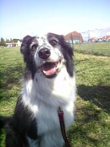 runa2