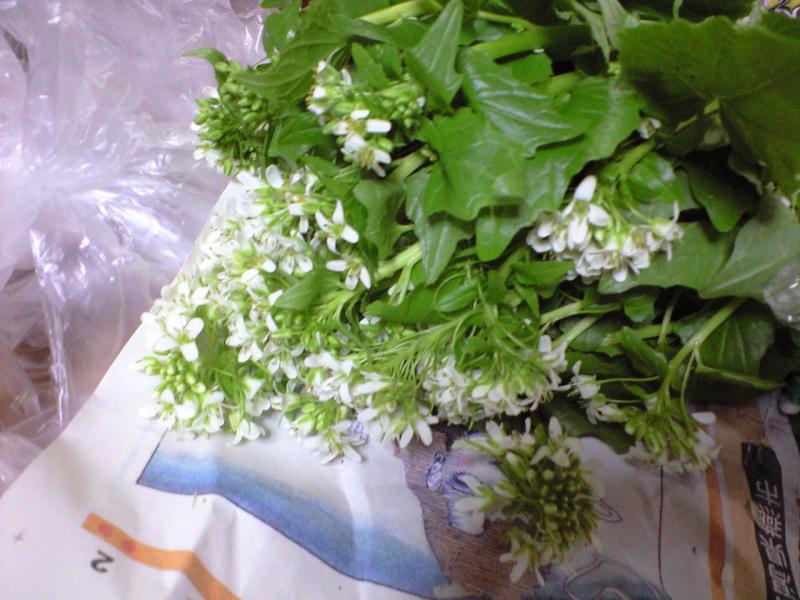 わさびの花