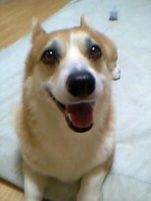 20050725_0