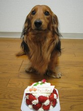 フェン誕生日