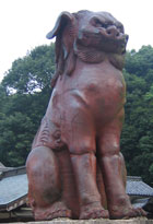 WAN