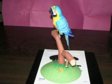 EPSON　Blue Parrot Papermodel
