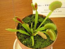 ハルのだらだら日記。