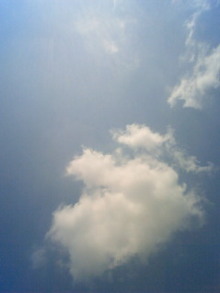200805171100000.jpg