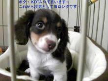 まぁ聞いたって～♪