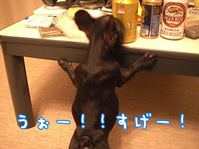 ご飯?