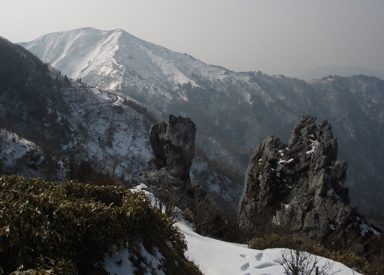 jirougyu2