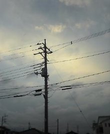 NEC_0321.jpg