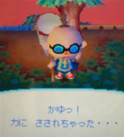 どう森76