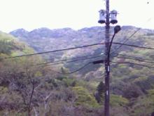 4.23