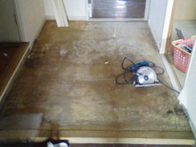 20080528084525.jpg