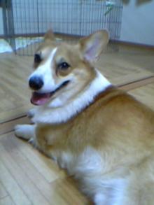 20050725_1