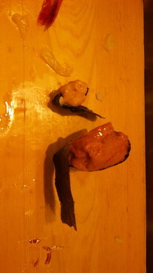 綾のち晴れ-090211_131948.jpg