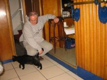 catinbrussels