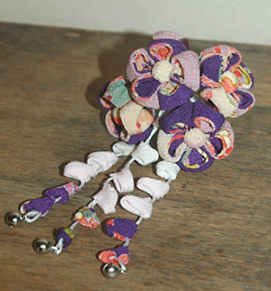 tsumamikanzasi