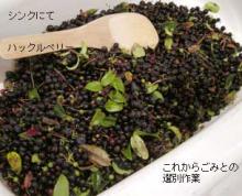 これからごみ取り作業:きっちんシンク