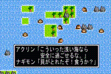 海で生活するサルたち