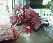 200806021547000.jpg