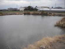 野池１