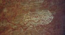 climbing_Uluru5