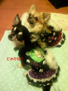 200807151700000.jpg