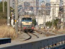 今日のねしねし-2009_0221_Higashitakashima2.jpg
