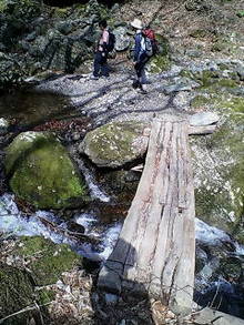 20070421085915.jpg