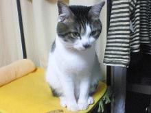 むっすぅ