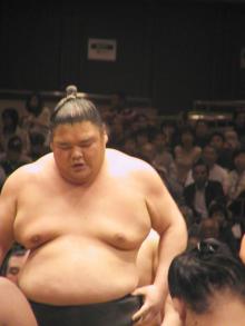 総見5