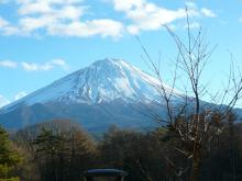 うさちゃんの徒然日記-富士山