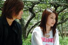 lovestorm