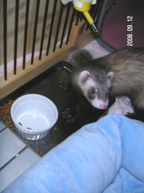 お食事タイム。