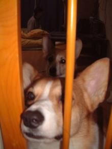 20050902