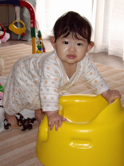 2006.01.16
