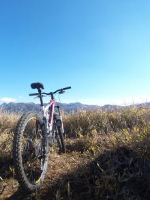 MTB