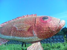 20080511155418.jpg