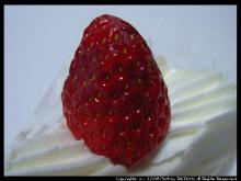 ���ڥ���륷�硼��_���á���