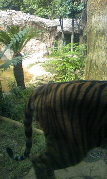 080827_142129.JPG