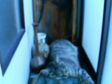 200608081259000.jpg