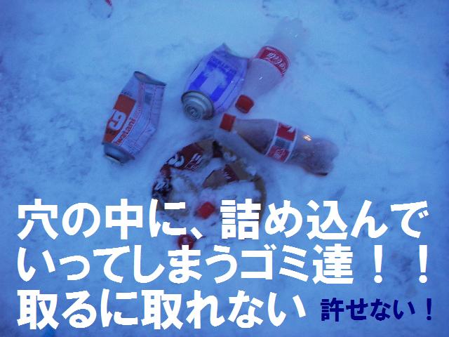 氷上のゴミ