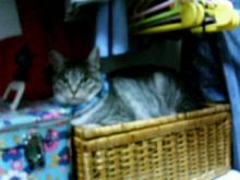 200611072215000.jpg