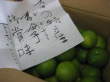 かぼす