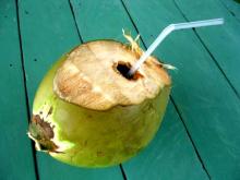 New 天の邪鬼日記-090216cocojuce