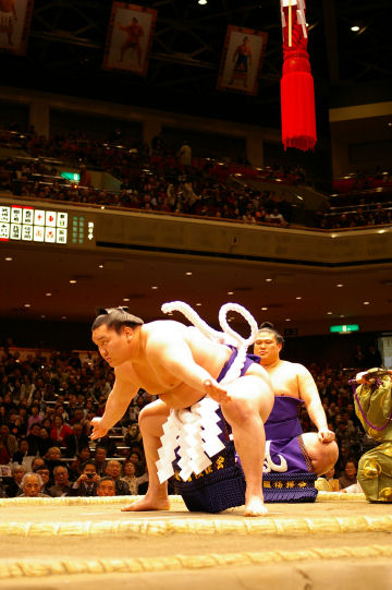 sumo5