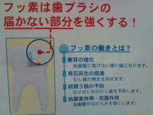 町田駅近くの、なかむら歯科医院のブログ-20081222122133.jpg